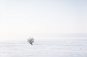 Being Alone Sucks!