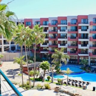 A Dog’s Love of a Luxurious Retreat in the Desert