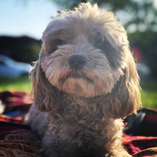 Baja is Mexico like you never imagined